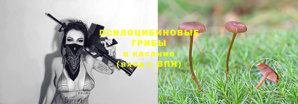 мяу мяу кристалл Баксан