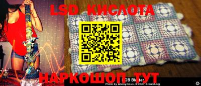 гидра Камышлов