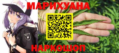 гидра Камышлов
