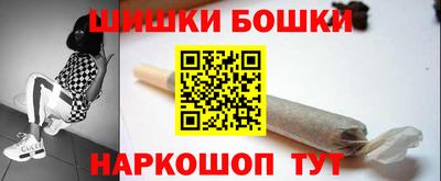 гидра Камышлов