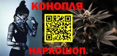 гидра Камышлов