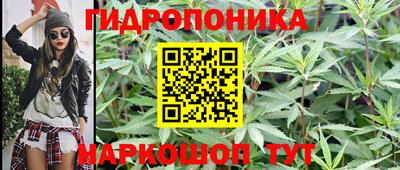 гидра Камышлов