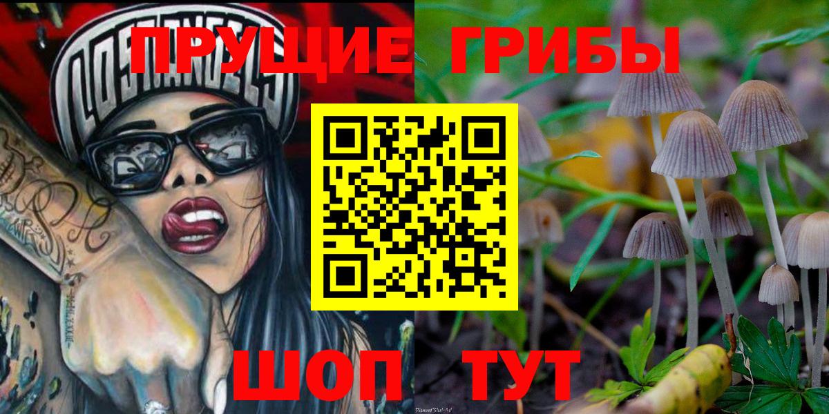 Псилоцибиновые грибы Psilocybine cubensis  Вход с VPN  Каспийск 